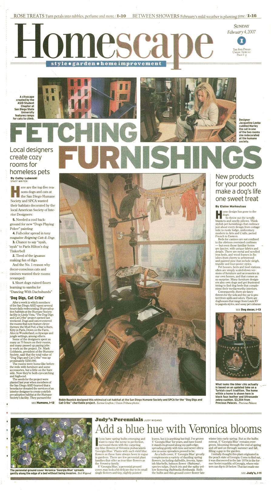 Fetching FURnishings article
